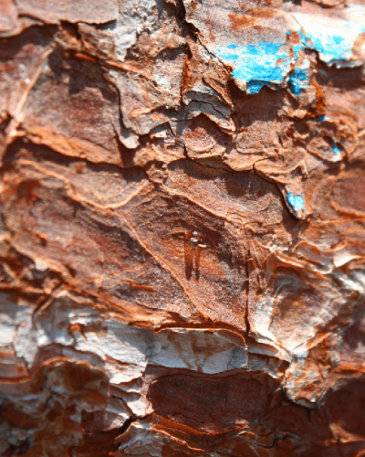 M-Square Minerals And Metals